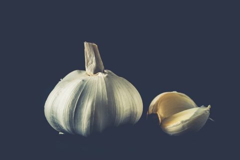 can garlic be toxic to dogs