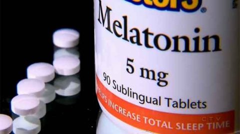 The use of melatonin in the dog